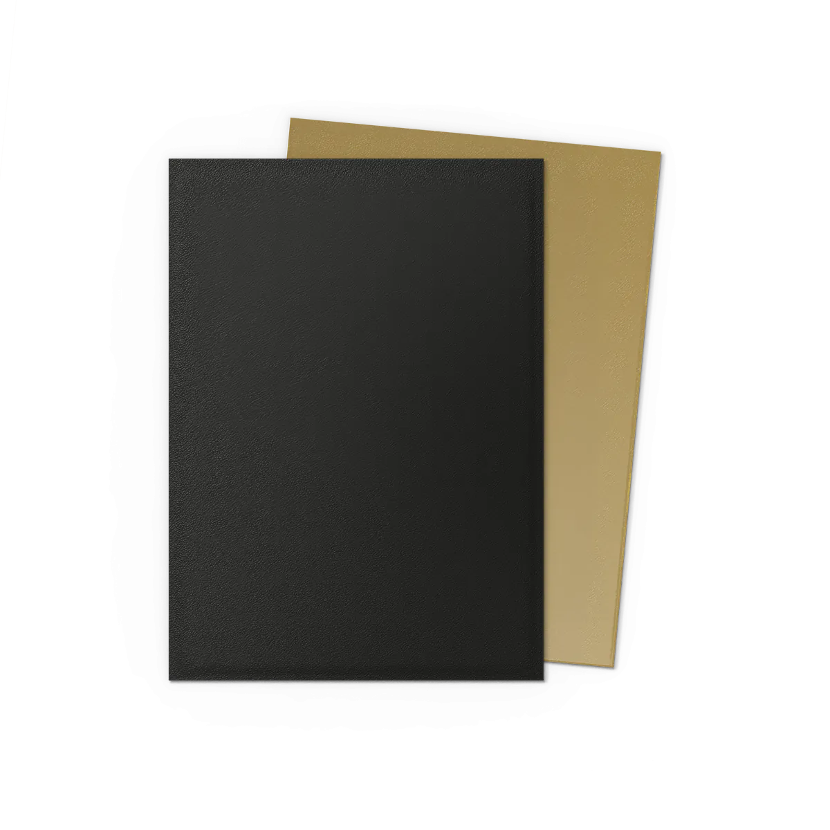 Dragon Shield - Standard DUAL Sleeves (100 sleeves)