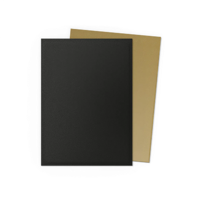 Dragon Shield - Standard DUAL Sleeves (100 sleeves)